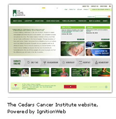 The Cedars Cancer Institute